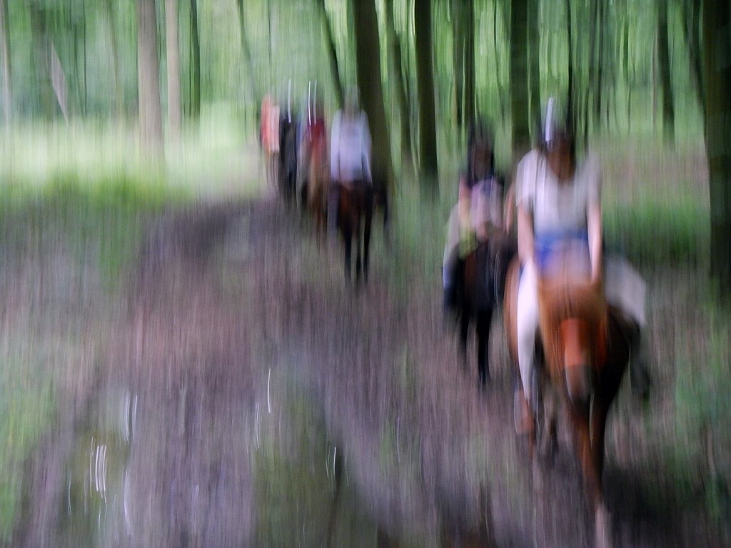cheval liquide