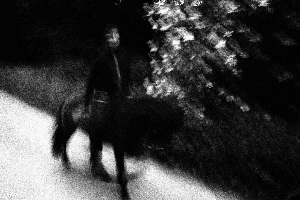 Chevaux N&B