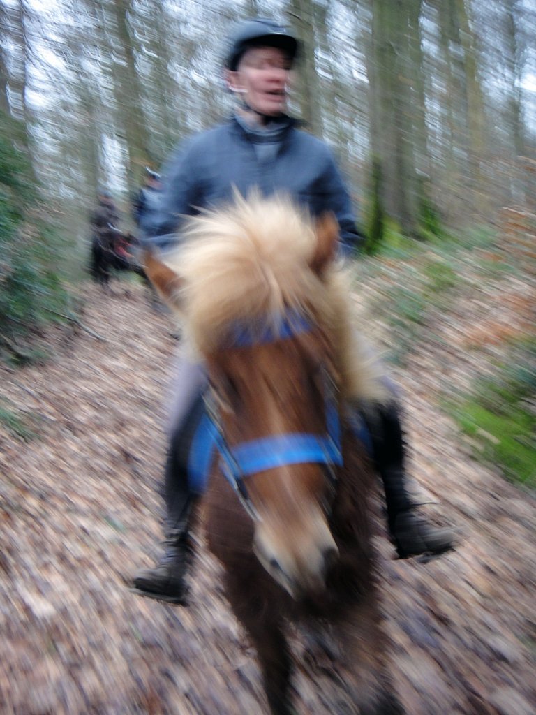 Ensor à cheval