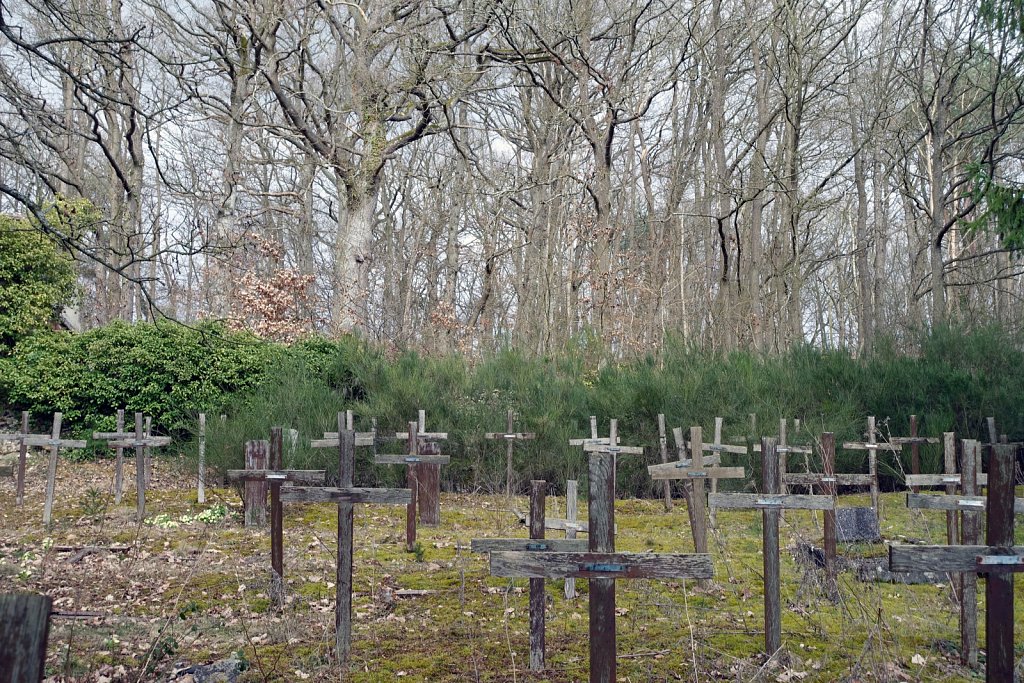 Le cimetière des fous