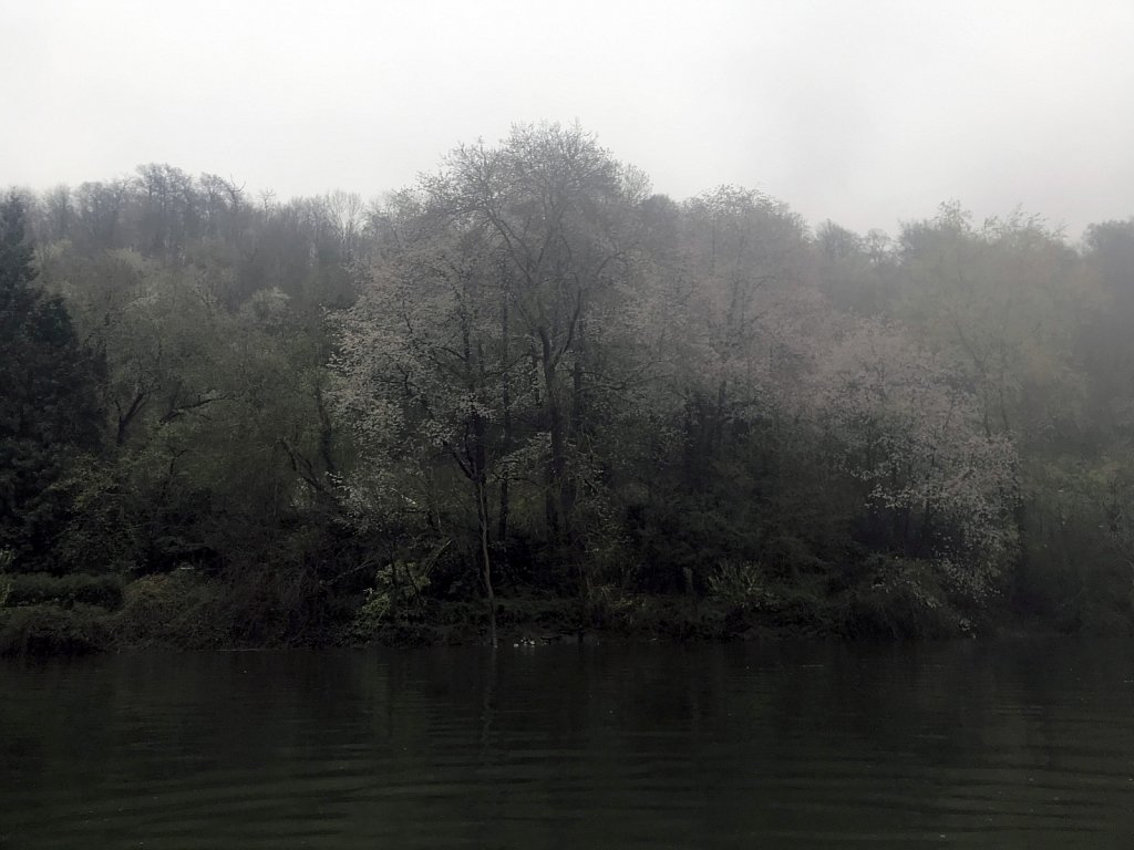 Seine sombre
